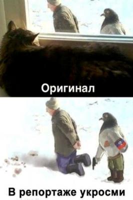 Прикрепленное изображение: 10256561_587477481357724_3808523804495996200_n.jpg